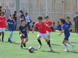 MIS Sports